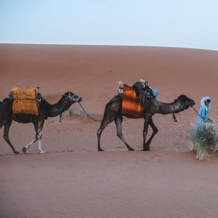 梅尔祖卡Camel Luxury Camp住宿加早餐旅馆 外观 照片