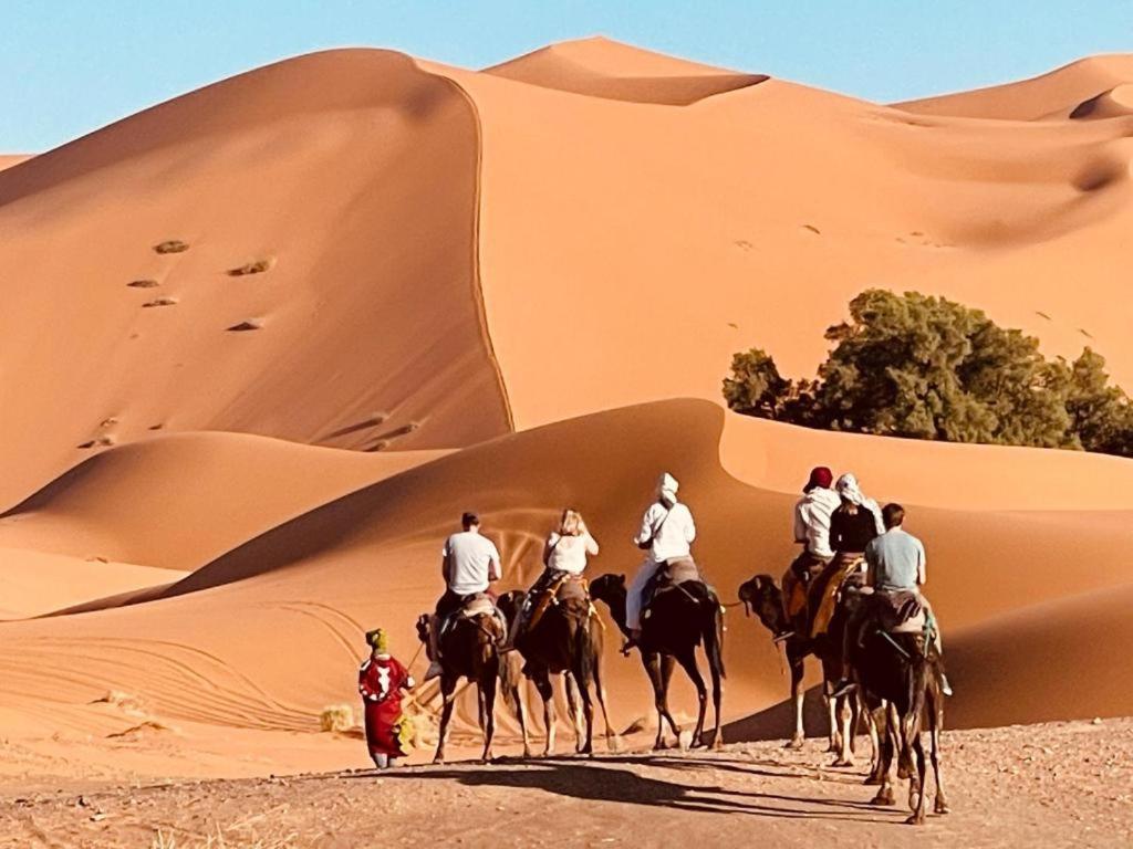 梅尔祖卡Camel Luxury Camp住宿加早餐旅馆 外观 照片